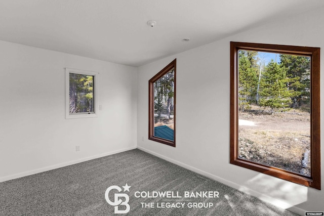 empty room with carpet, baseboards, and a wealth of natural light