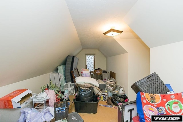 interior space featuring carpet and vaulted ceiling