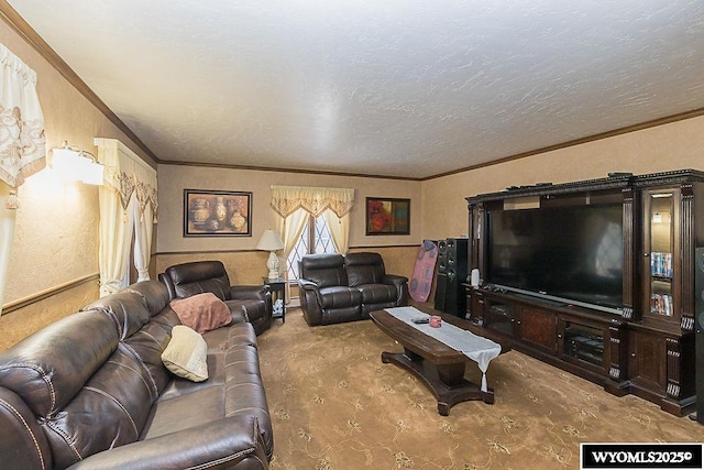 living area featuring ornamental molding, a textured ceiling, a textured wall, and carpet floors