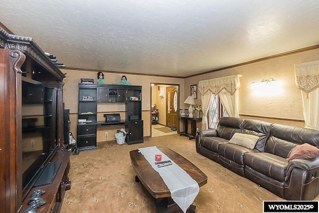 living area with crown molding, a textured wall, and a textured ceiling