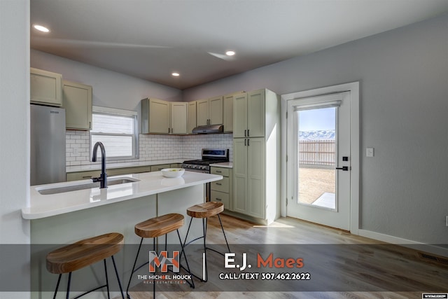 kitchen featuring a breakfast bar area, a sink, stainless steel appliances, under cabinet range hood, and backsplash