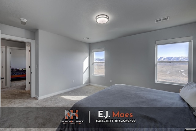 bedroom featuring carpet flooring, baseboards, and visible vents