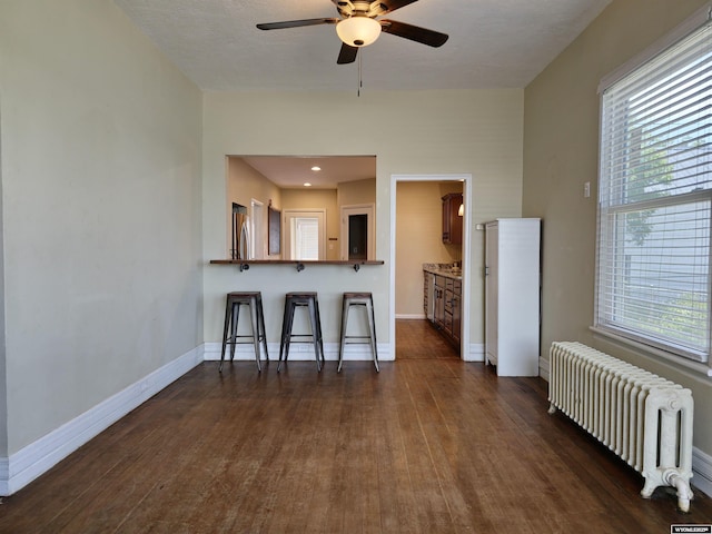 kitchen with a wealth of natural light, radiator, a kitchen bar, and a ceiling fan