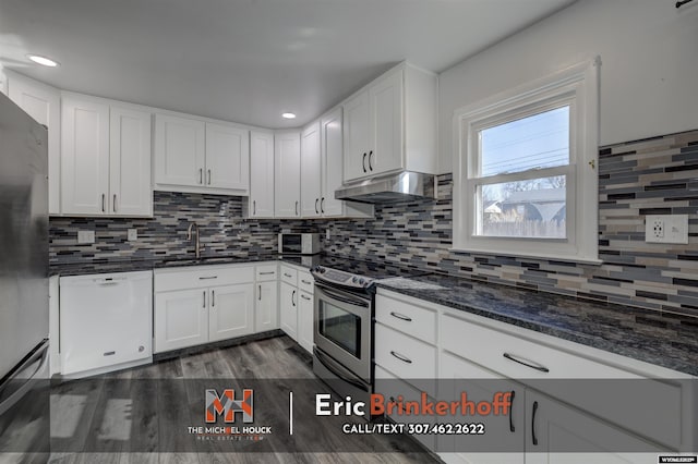 kitchen with under cabinet range hood, decorative backsplash, appliances with stainless steel finishes, and a sink