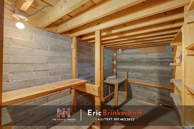 unfinished basement with a sauna