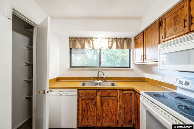 kitchen featuring brown cabinets, a sink, a textured ceiling, white appliances, and light countertops