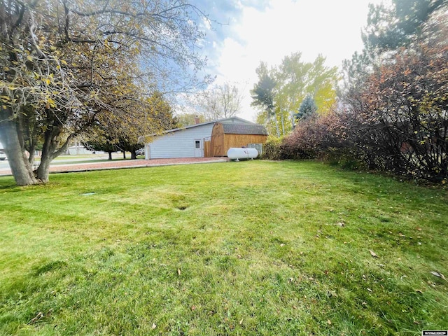 view of yard with an outbuilding