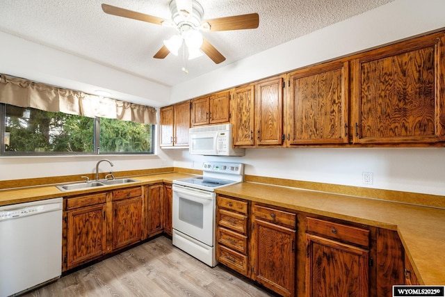 kitchen with white appliances, brown cabinetry, light wood finished floors, a sink, and a textured ceiling