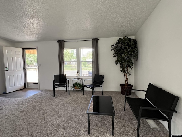 42 Carothers Ave, Fort Bridger, WY 82933 - sitting room with carpet flooring and a textured ceiling