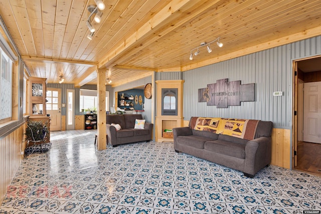 1242 Frontier Dr, Douglas, WY 82633 - living room with wooden ceiling and track lighting