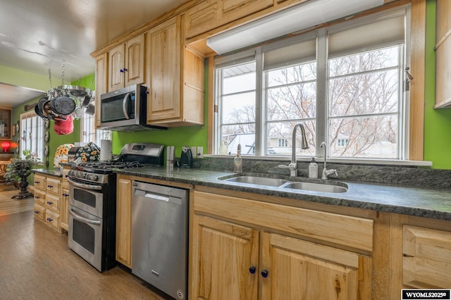 kitchen with a sink, stainless steel appliances, plenty of natural light, and light brown cabinetry