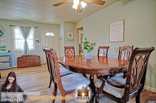 dining room featuring baseboards, light wood-style floors, ceiling fan, and a textured ceiling