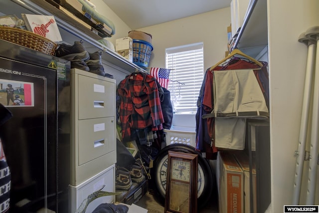 view of spacious closet