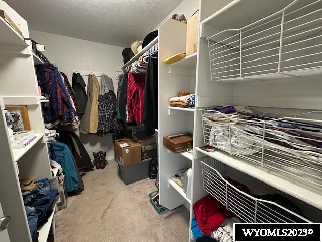 spacious closet with carpet floors