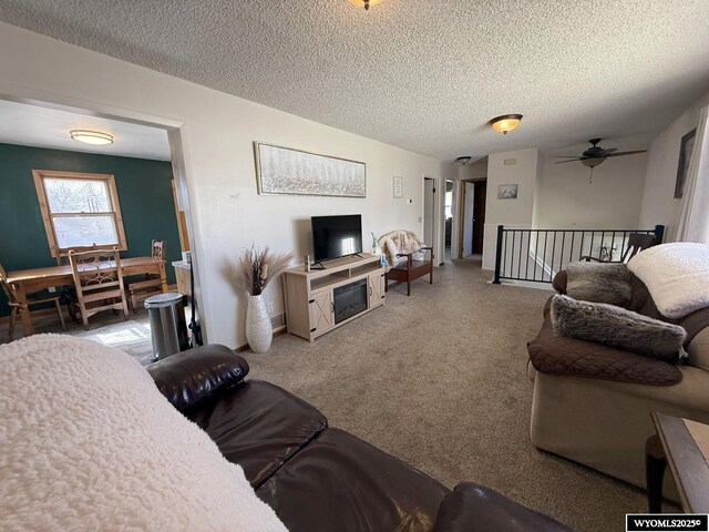 655 Amoretti St, Lander, WY 82520 - carpeted living area with ceiling fan and a textured ceiling
