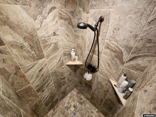 303 Tamarack Dr, Rock Springs, WY 82901 - details featuring a tile shower