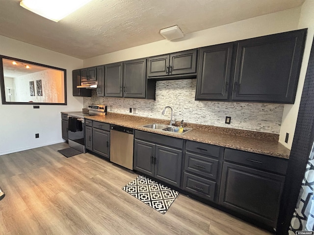 kitchen featuring stainless steel appliances, tasteful backsplash, under cabinet range hood, a sink, and light wood-style floors