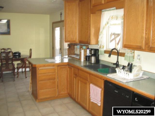 kitchen with dishwasher, a sink, and a peninsula