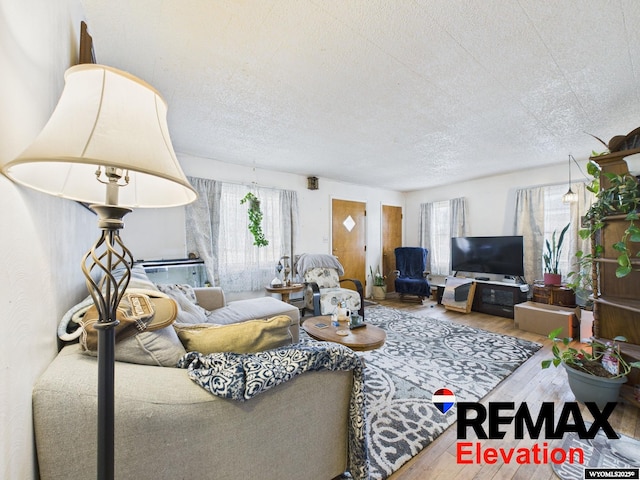 707 S 6th St, Basin, WY 82410 - living area featuring wood finished floors and a textured ceiling