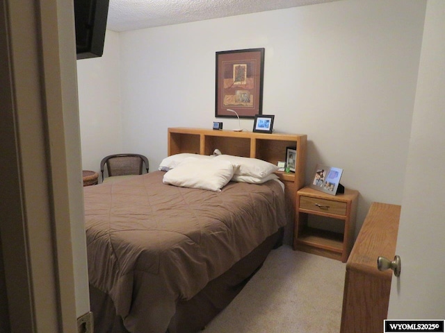 1001 Cheshire St, Casper, WY 82609 - bedroom with light carpet and a textured ceiling
