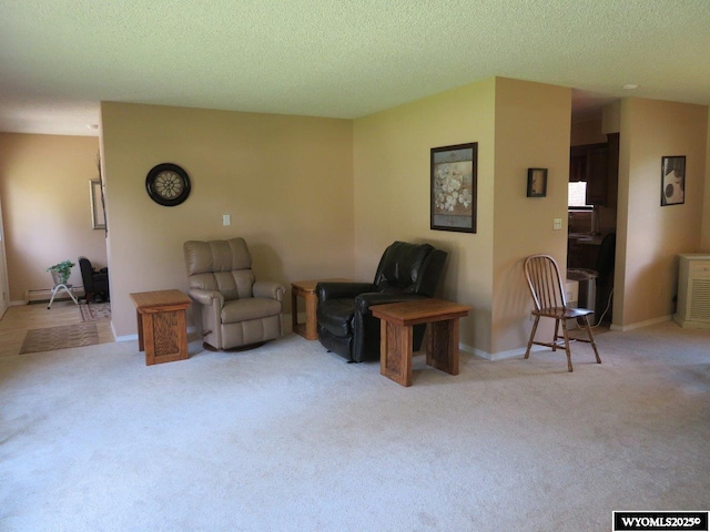 1001 Cheshire St, Casper, WY 82609 - carpeted living room featuring baseboards and a textured ceiling