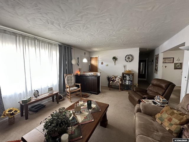 341 E 29th Ave, Torrington, WY 82240 - living room featuring light carpet and a textured ceiling
