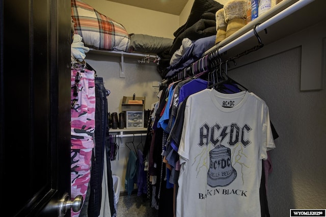 view of walk in closet