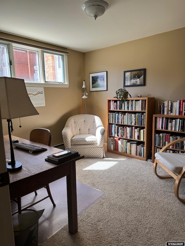 view of carpeted home office