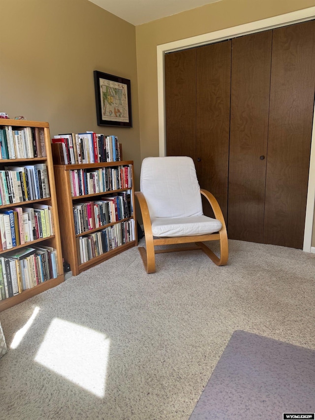 living area featuring carpet flooring