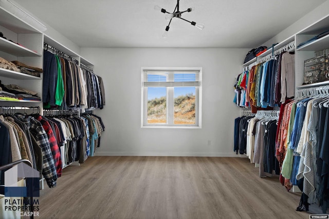 spacious closet with wood finished floors