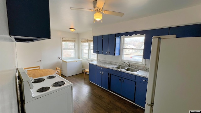 kitchen with a sink, blue cabinets, white appliances, light countertops, and dark wood finished floors