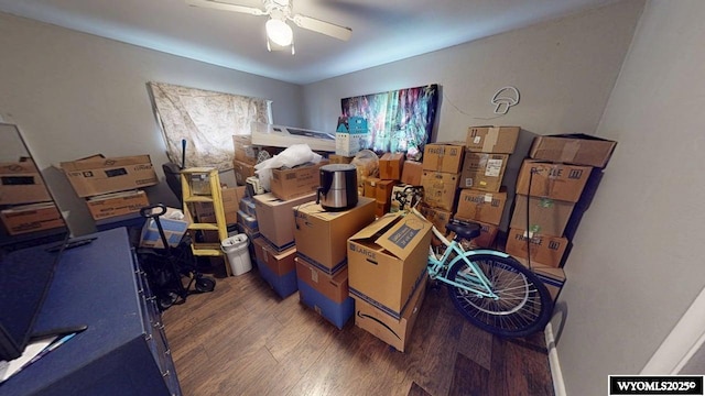 storage room with ceiling fan