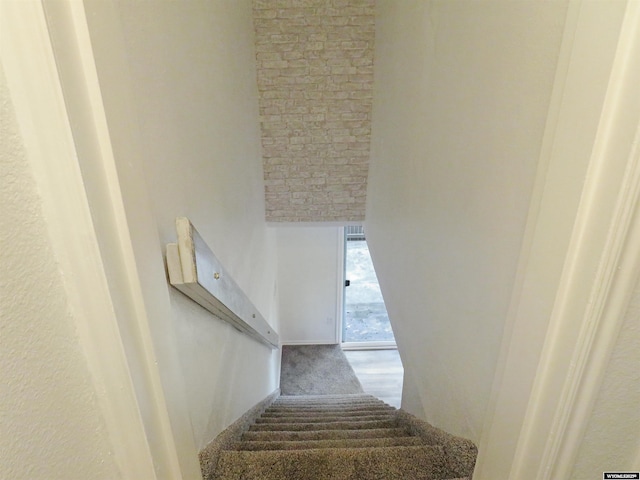 staircase with carpet