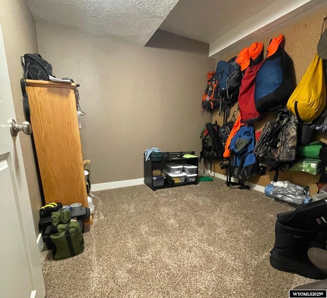 view of storage