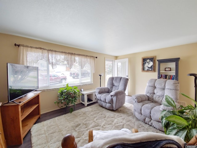 living room with wood finished floors