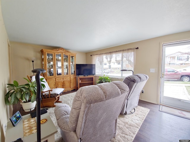 living area featuring wood finished floors