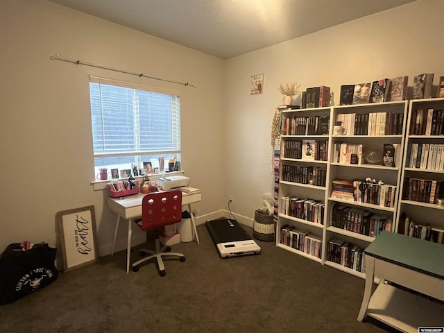 640 Lynn Ct, Green River, WY 82935 - office space featuring carpet floors