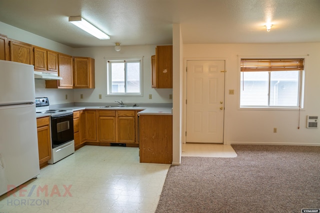 kitchen featuring brown cabinets, under cabinet range hood, electric stove, a sink, and freestanding refrigerator