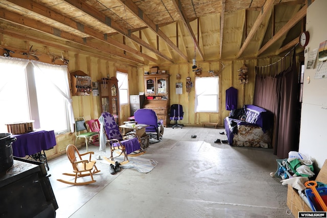 miscellaneous room featuring plenty of natural light