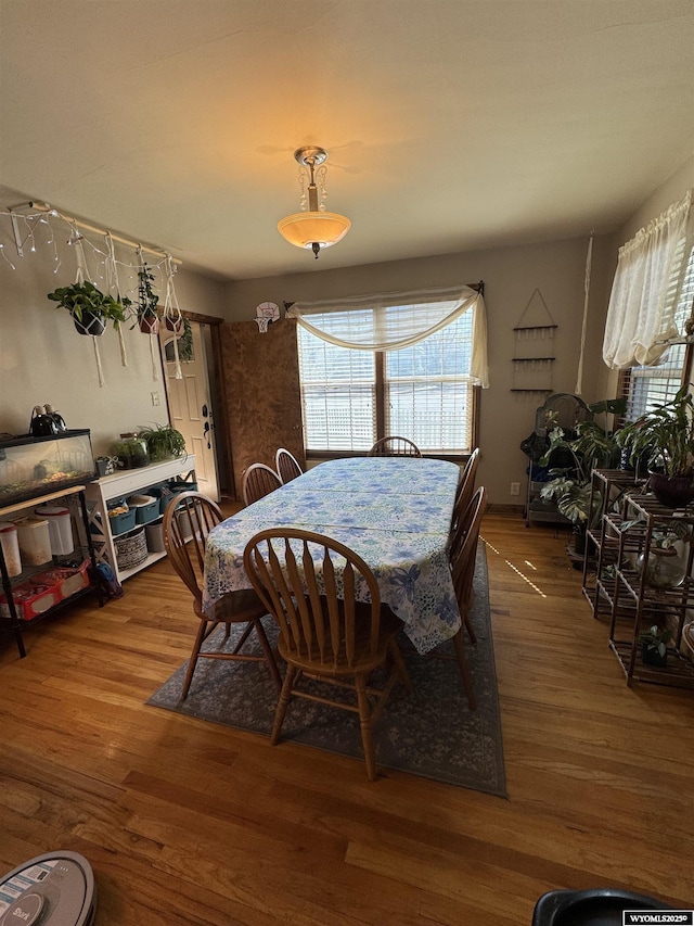 716 B St, Rock Springs, WY 82901 - dining space with wood finished floors and a healthy amount of sunlight
