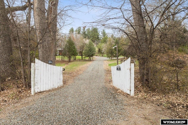 view of street featuring driveway