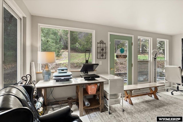 office area featuring a wealth of natural light