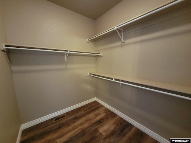 walk in closet featuring visible vents and dark wood-type flooring