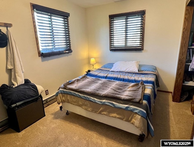 bedroom featuring baseboards, carpet, and multiple windows