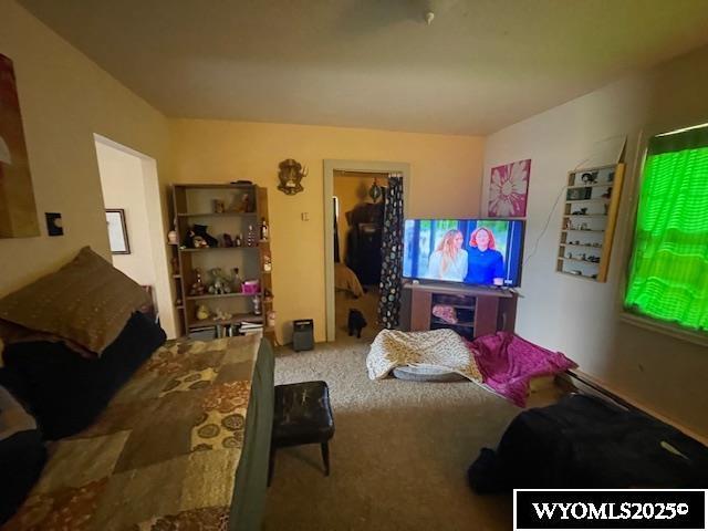 bedroom featuring carpet