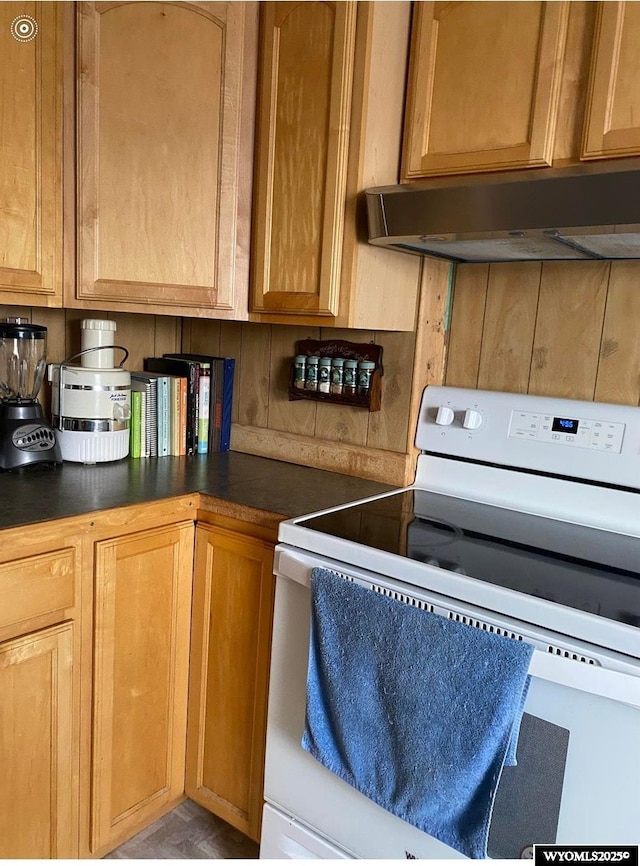 kitchen featuring electric stove, under cabinet range hood, and dark countertops