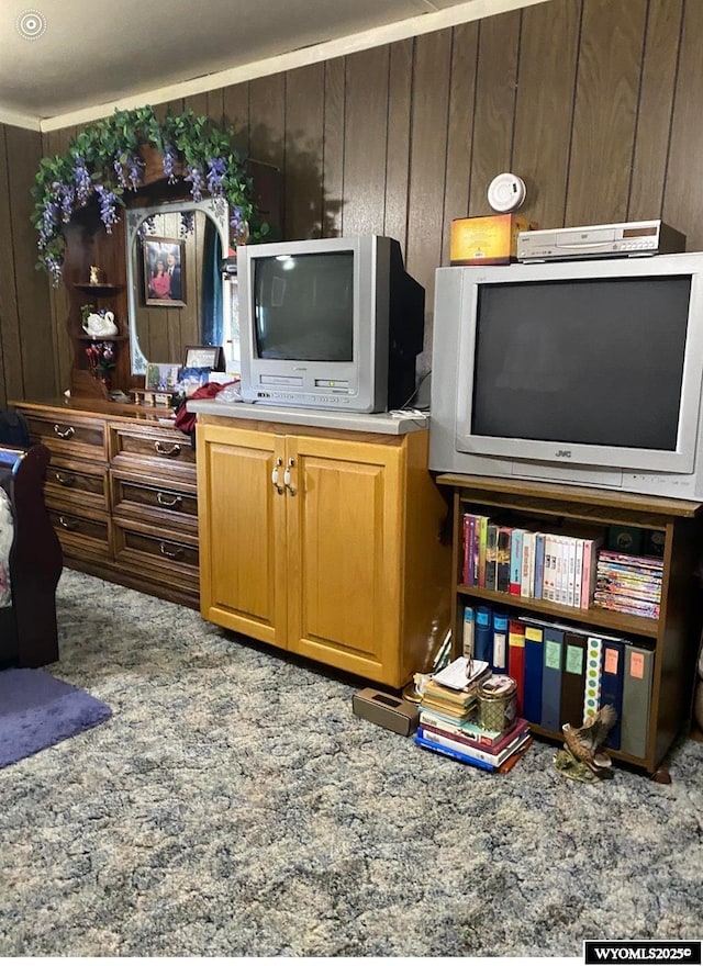 living room with carpet floors and wooden walls