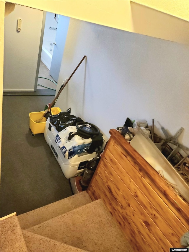 stairs with carpet floors