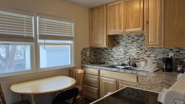 kitchen featuring light stone counters, a sink, and decorative backsplash
