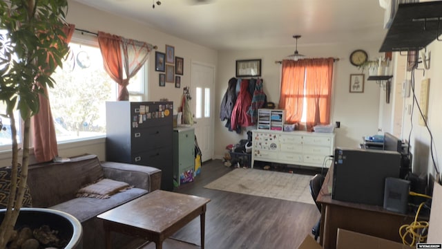 living room featuring plenty of natural light, a ceiling fan, and wood finished floors